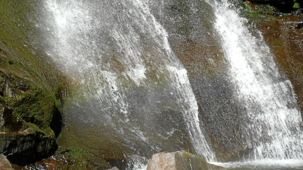 P1000767