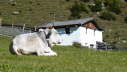 P1000768