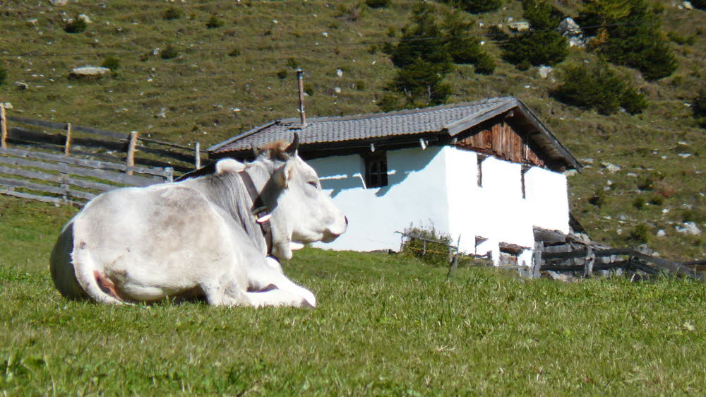 P1000768