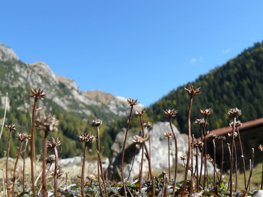 P1000771