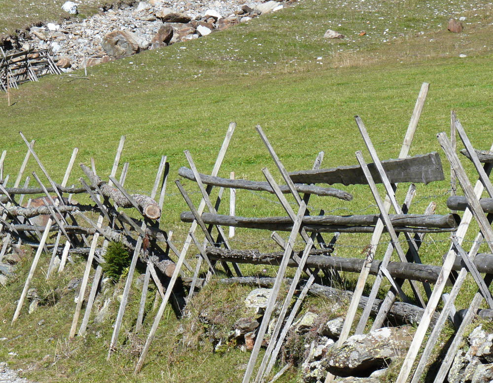 P1000772
