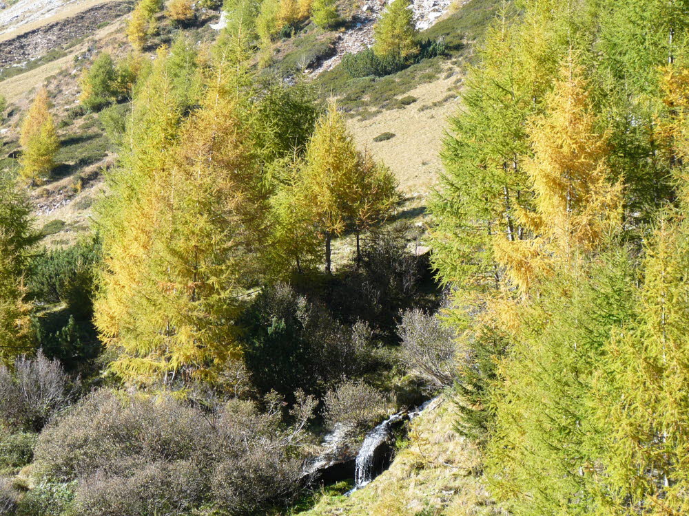 P1000783