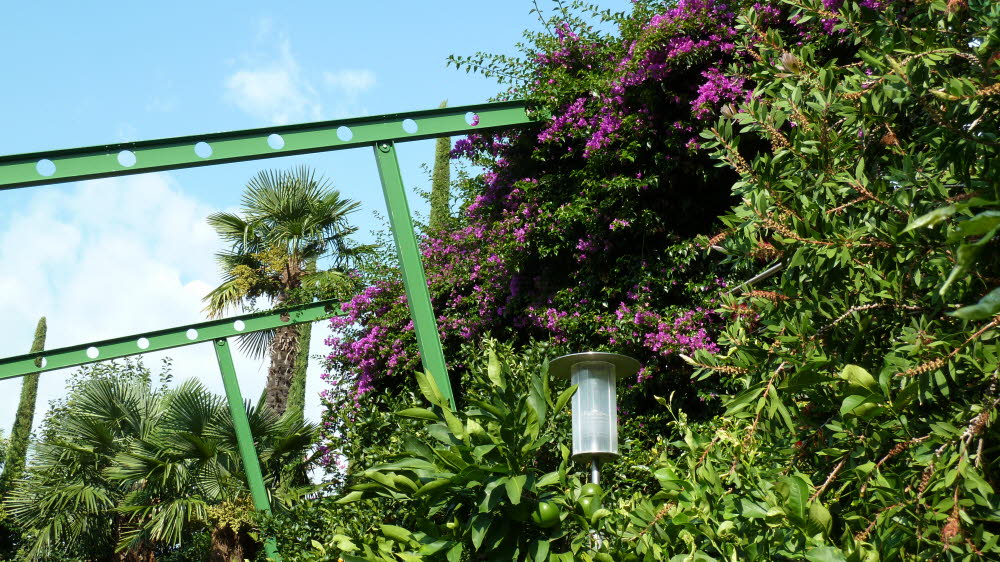 P1000887