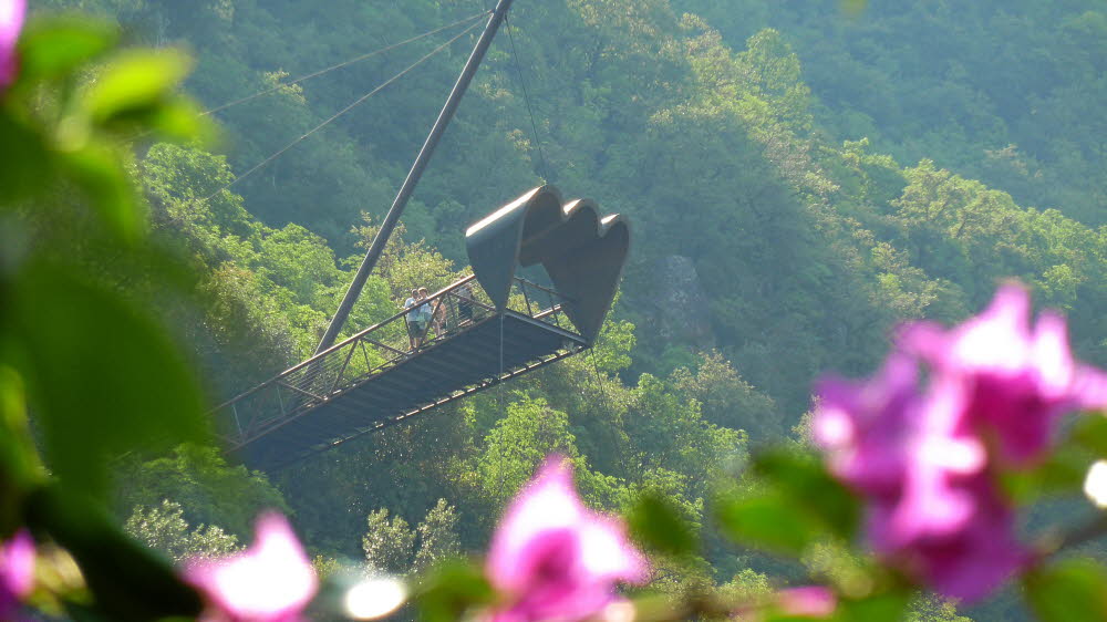 P1000892