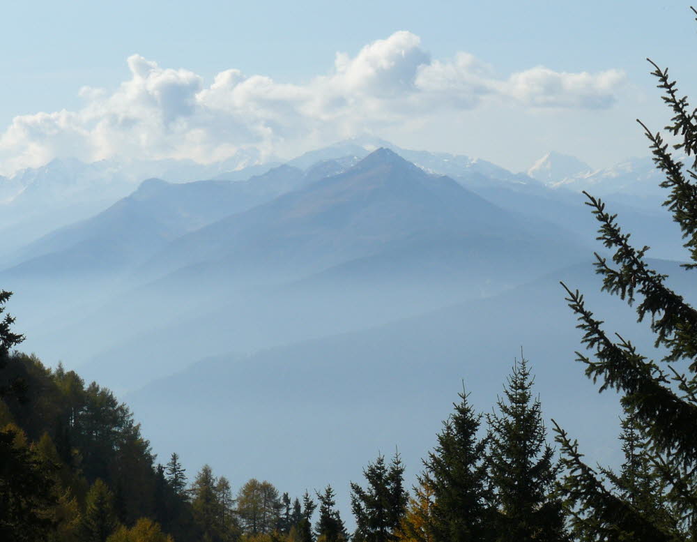P1000909