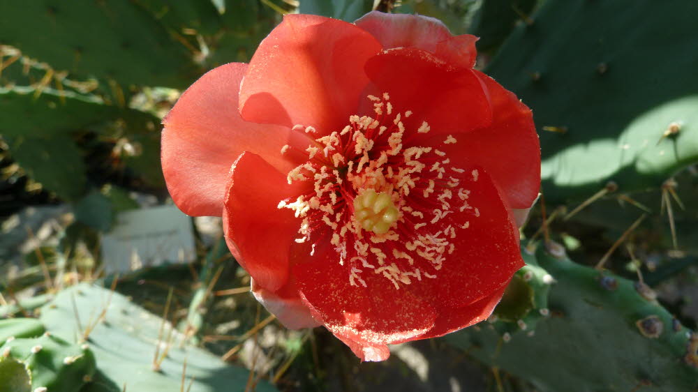P1000911