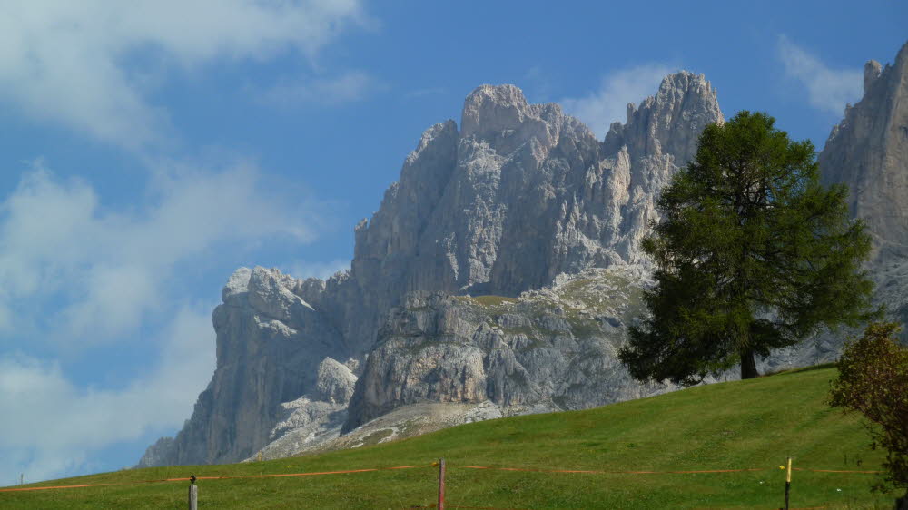 P1000929