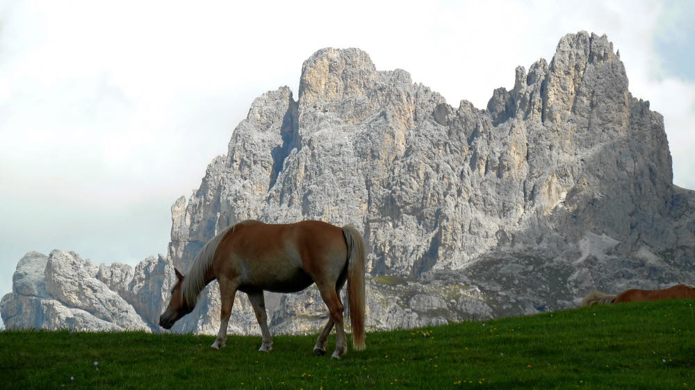 P1000943