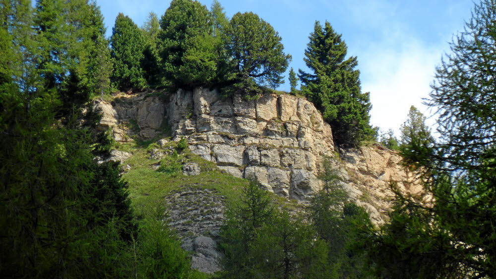P1000944