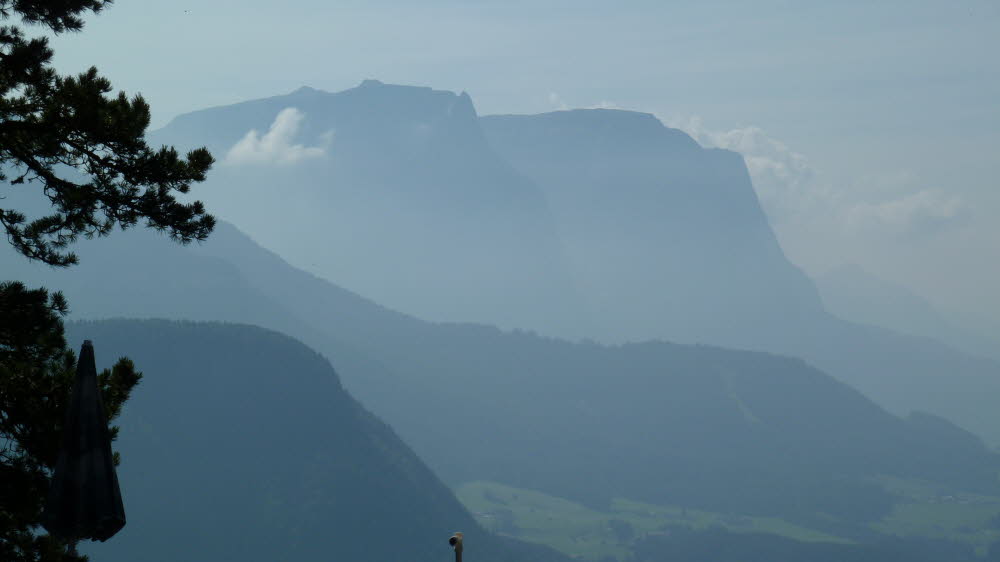 P1000950