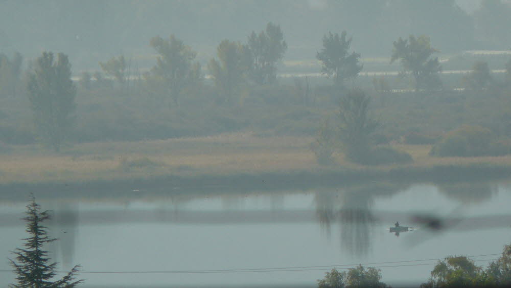 P1000954