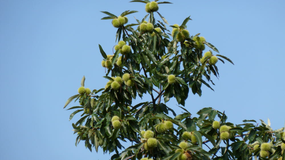 P1000967