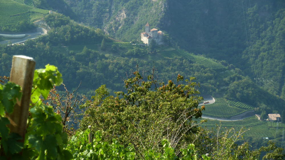 P1000974