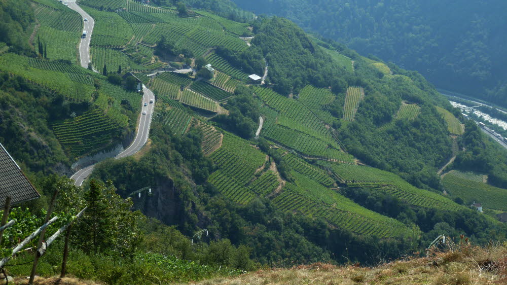 P1000986