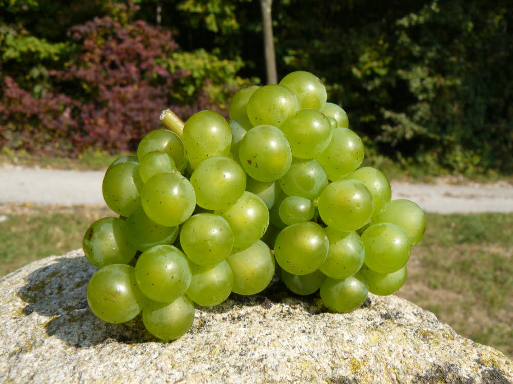 P1000995