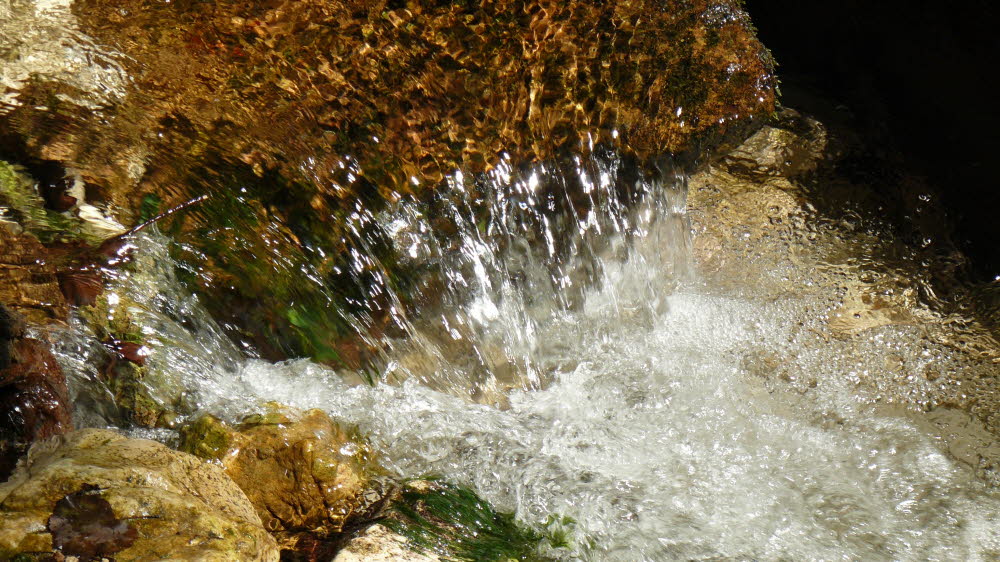 P1010419