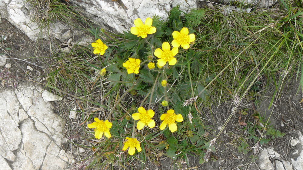 P1010449