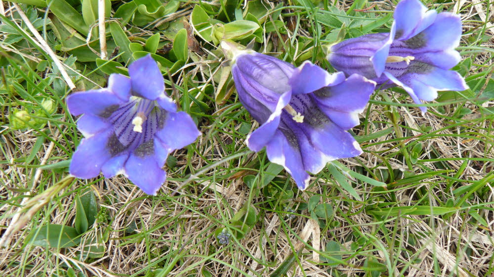 P1010474