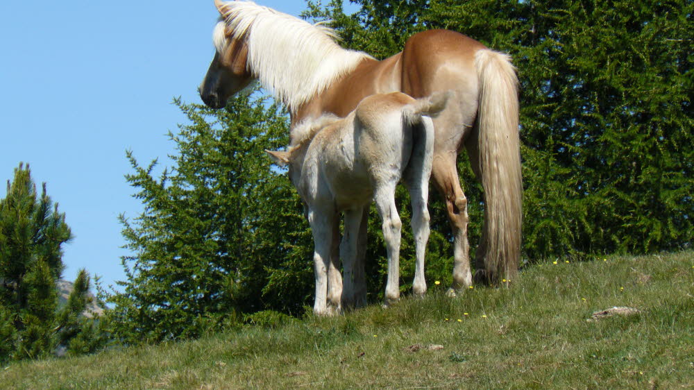 P1010505