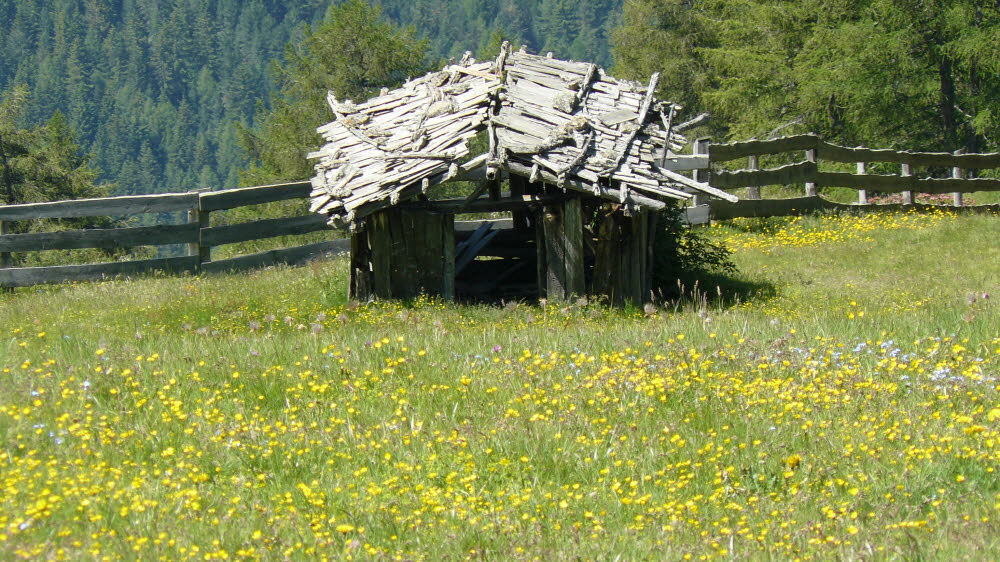 P1010519