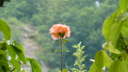 P1010535