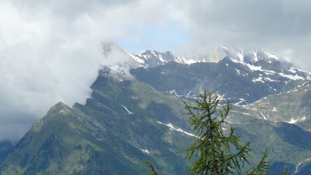 P1010563
