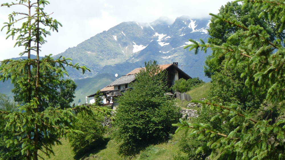 P1010581