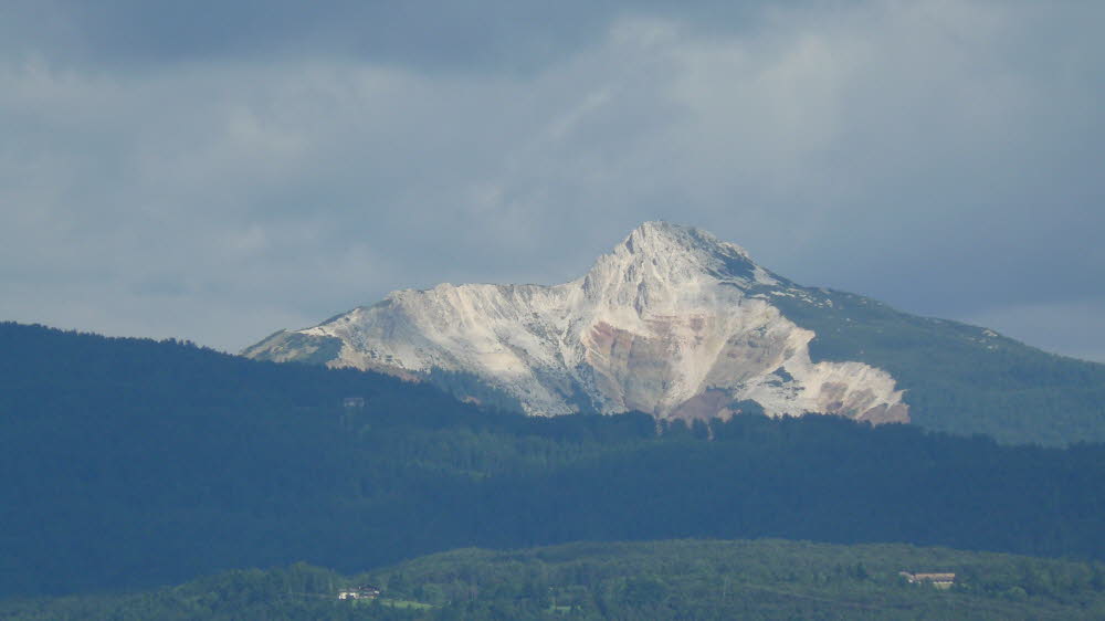 P1010602