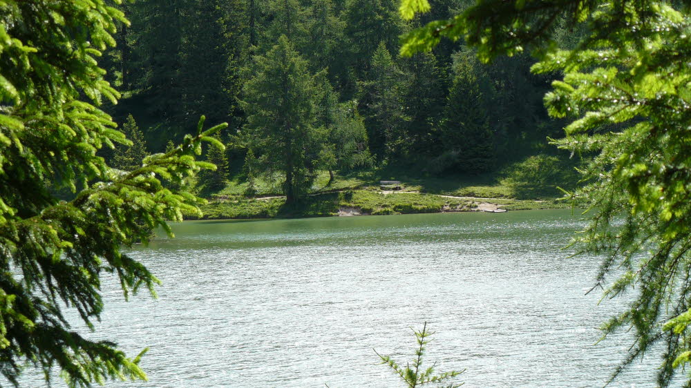 P1010609