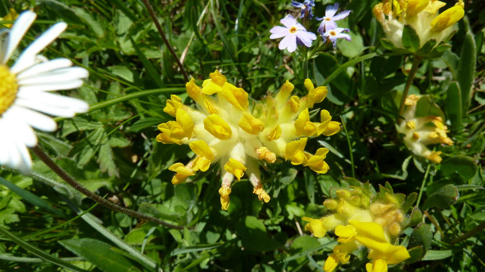 P1010654