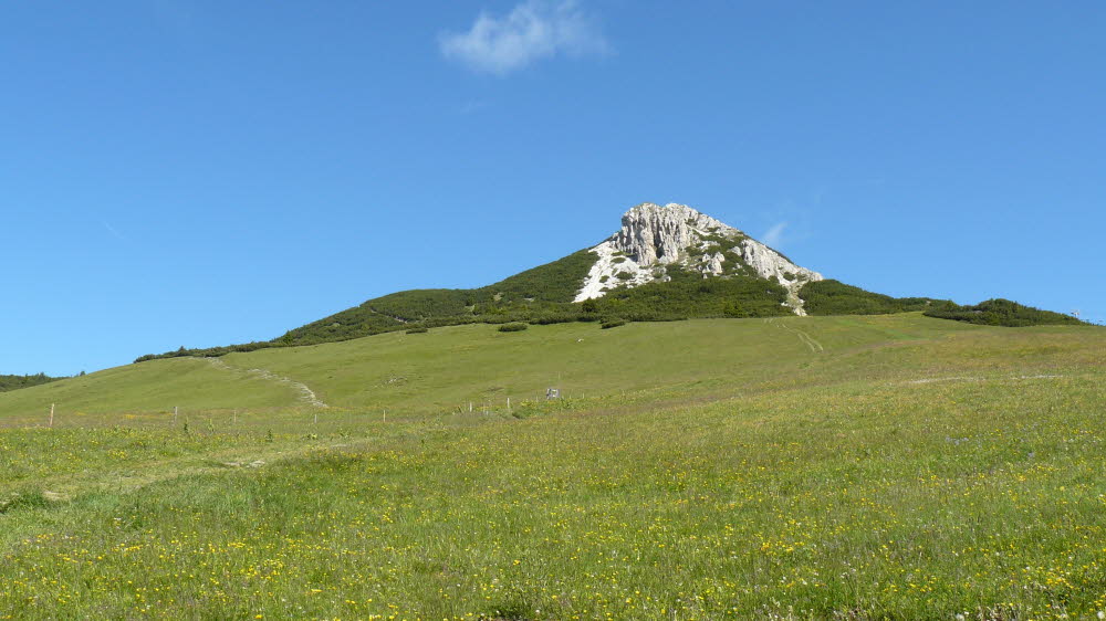 P1010716