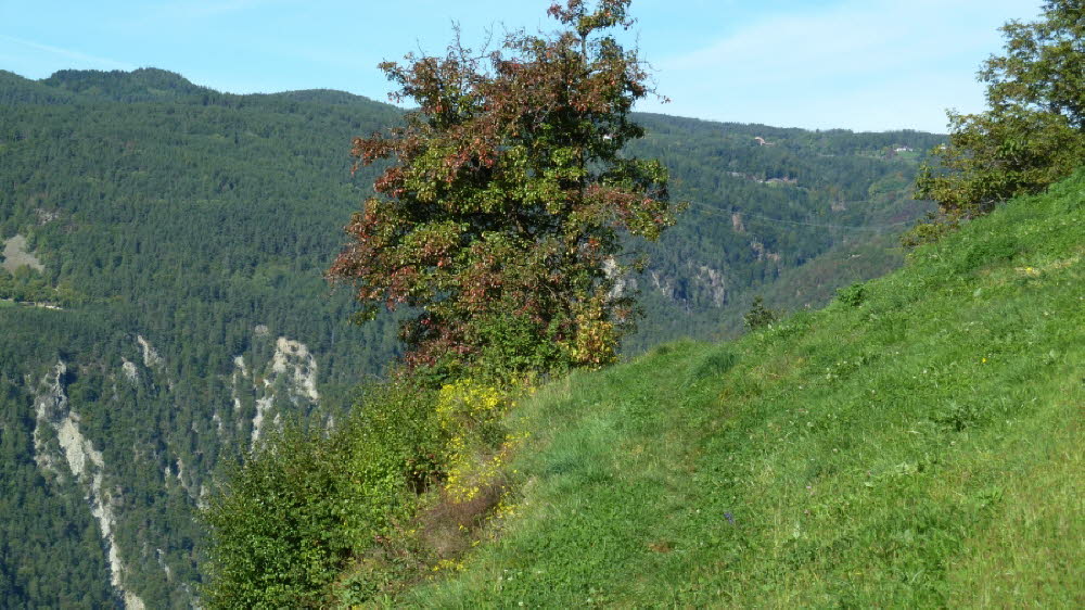 P1010844