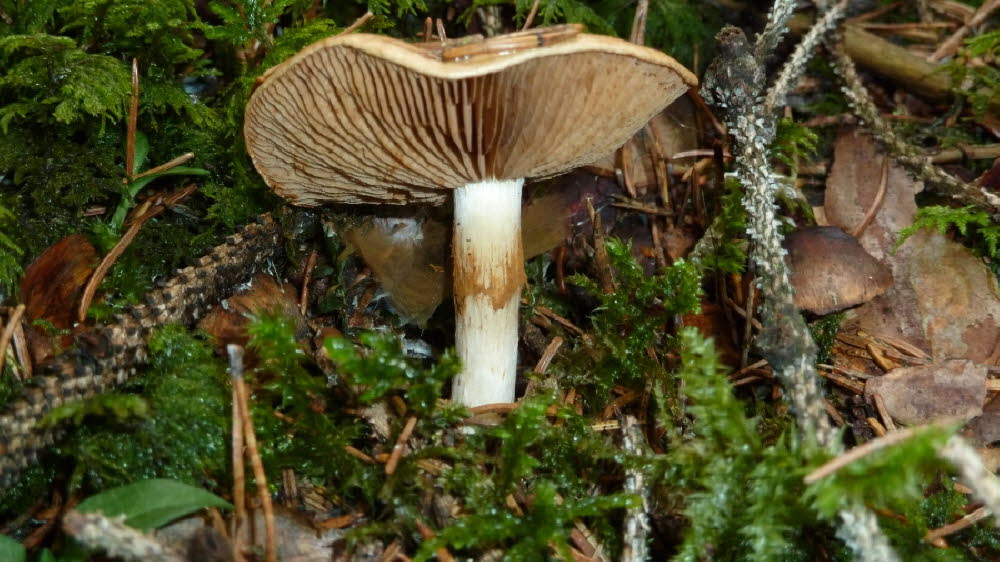 P1010933