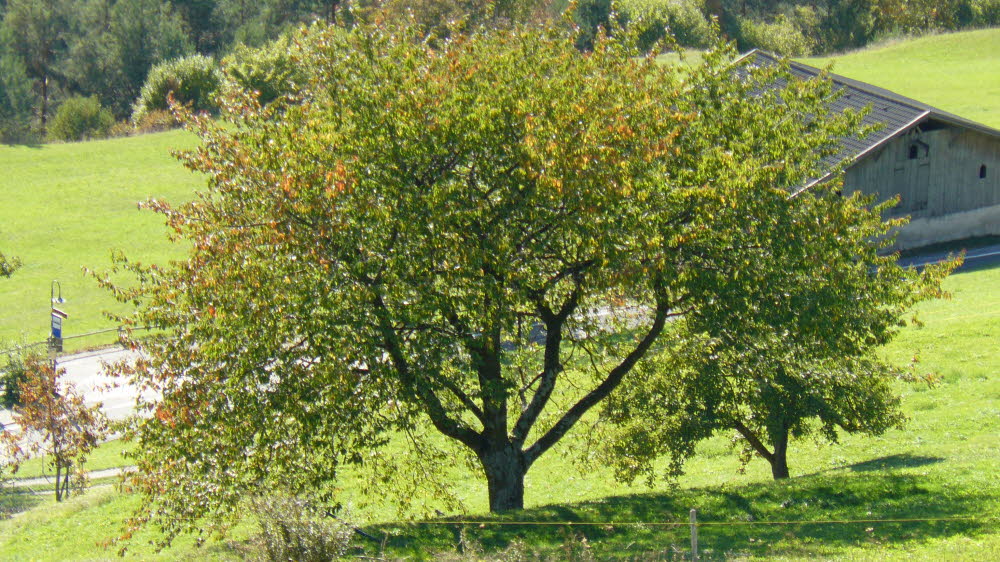 P1010960