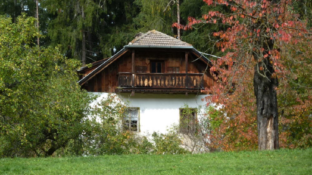 P1020020
