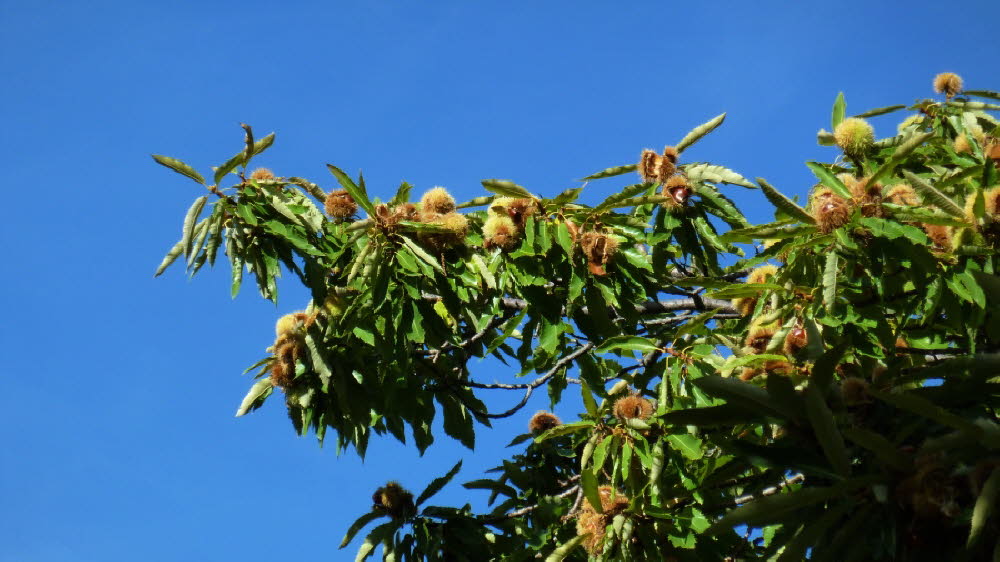 P1020035