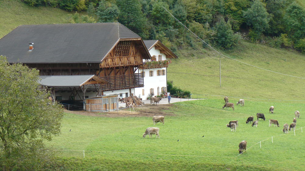 P1020072