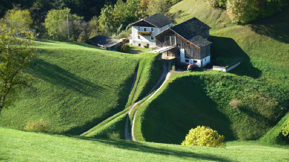 P1020078