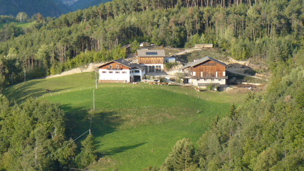 P1020098