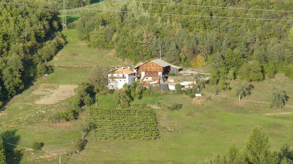 P1020102