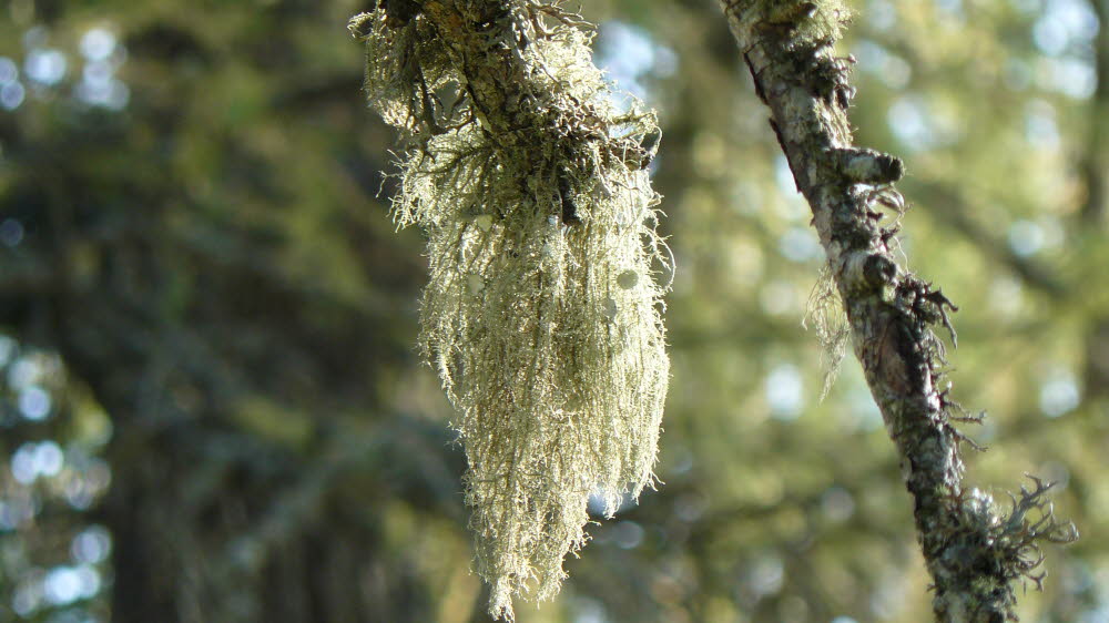 P1020231