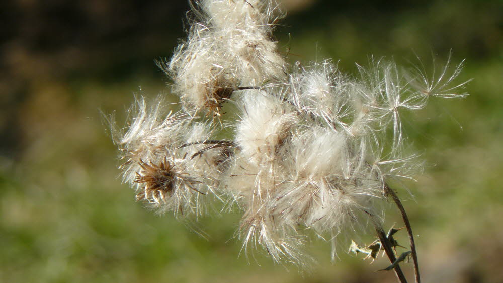 P1020250