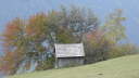 P1020254