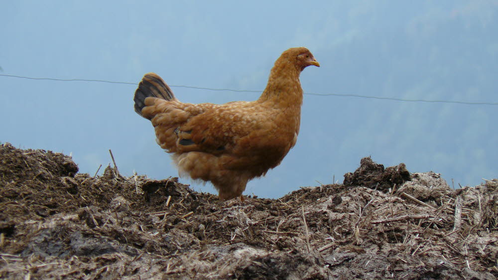 P1020273