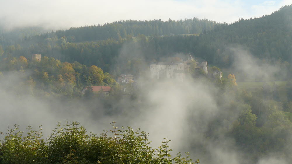 P1020290