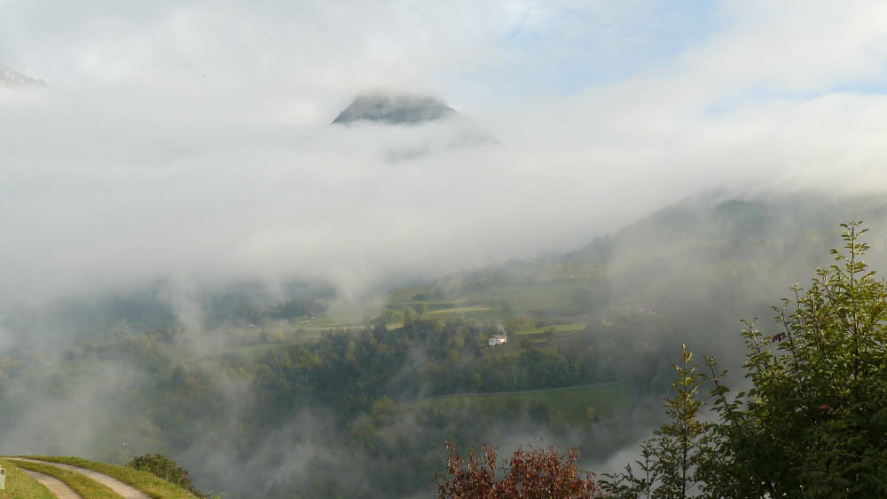 P1020291