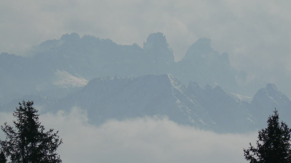 P1020530