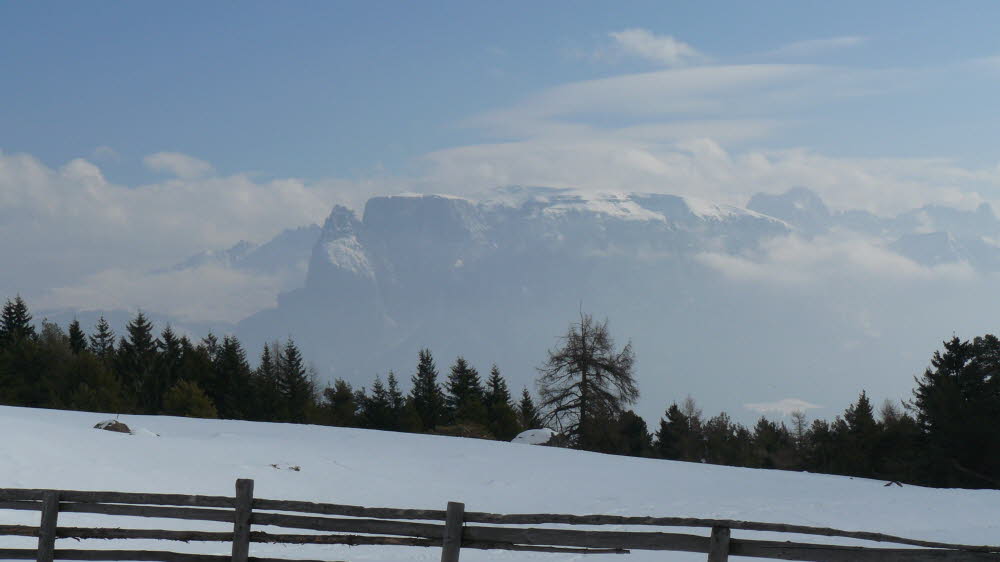 P1020533