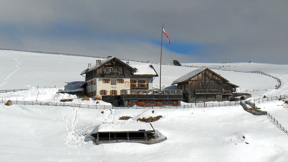 P1020561