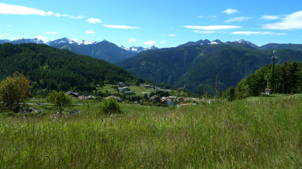 P1020569
